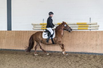 Bild 147 - Pony Akademie Turnier